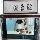 大量求購各種成色好的機床設備和一些專用設備