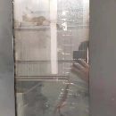 出售馬扎克630臥加