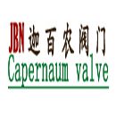 真空止回閥.對夾真空止回閥.迦百農閥門